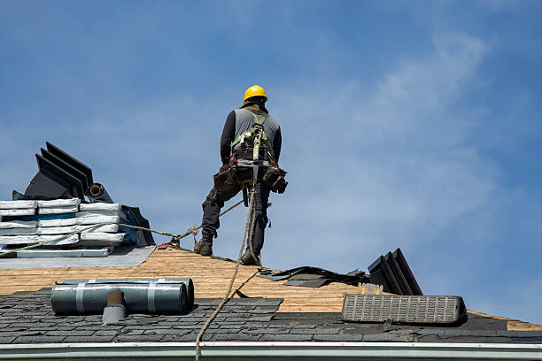 Professional Roofing technician working in Romulus, NY